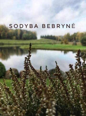 Фото номера Вилла с 3 спальнями Виллы Bebryne г. Didviečiai 38